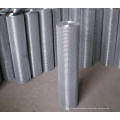 Welded Wire Mesh (Stainless Steel & Galvanized)